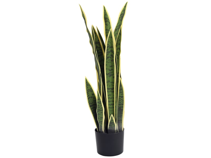  Plante artificielle sansevieria 77 cm avec 21 feuilles ajustables et pot, facile à nettoyer, pour bureau, chambre, vert  - Conforama B