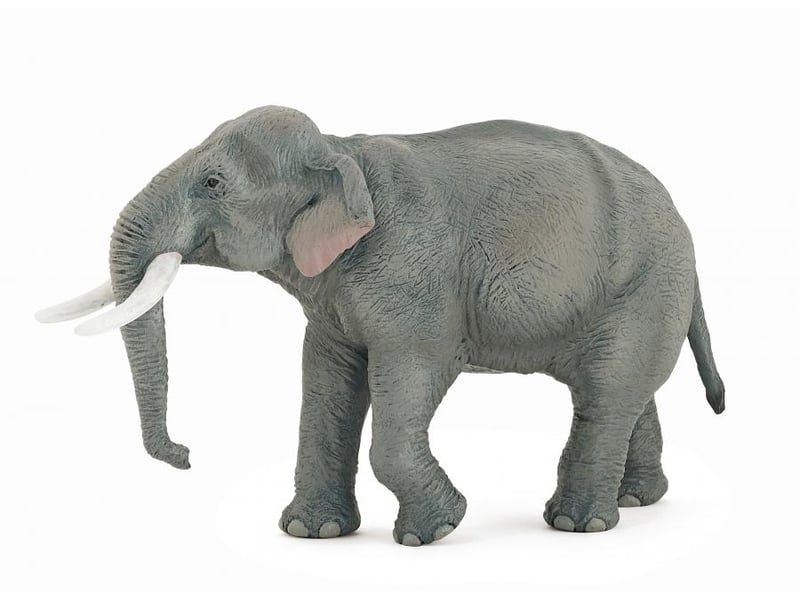  50131 elephant d asie figurine 50131 - Conforama D