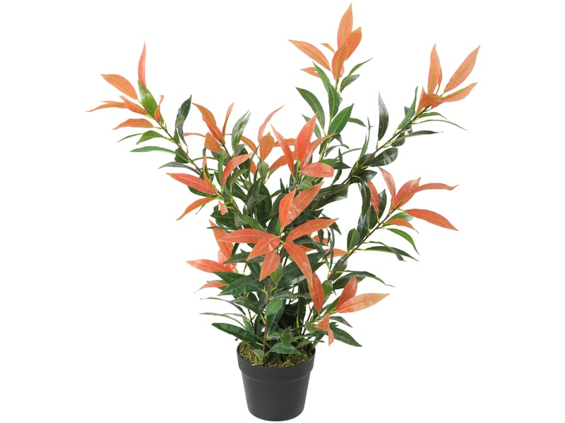  Photinia artificielle de 90 cm, 300 feuilles, branches ajustables, 45 x 45 x 90 cm, rouge et verte  - Conforama B