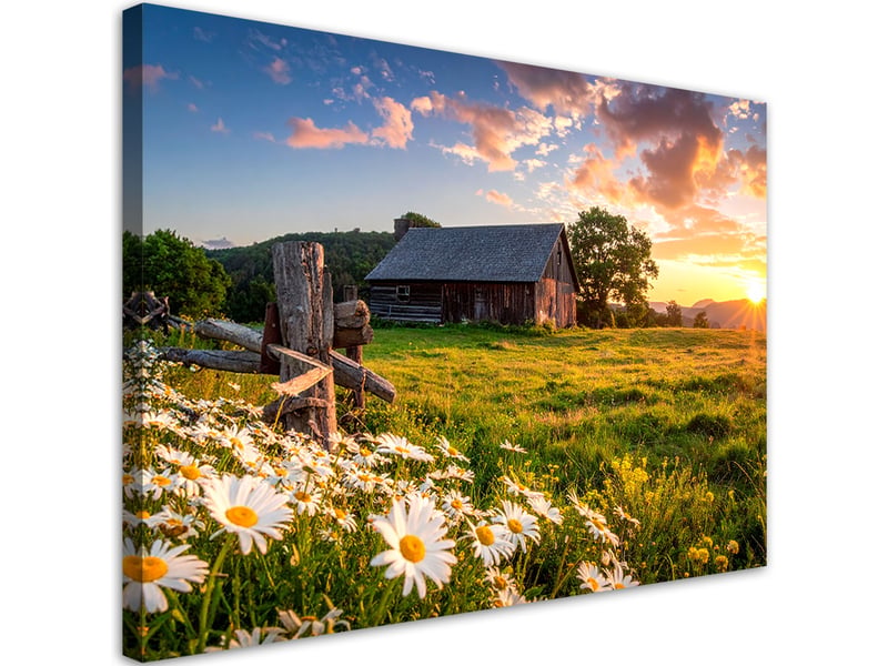  Image sur toile, paysage rural avec une maison en bois au coucher du soleil 30x20 1328139307 - Conforama A