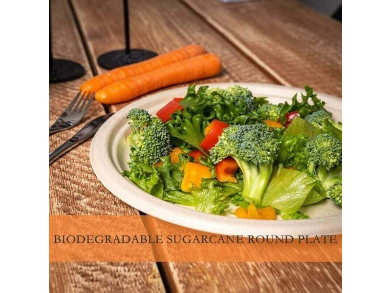  Lot de 100 assiettes en carton rigides 100% biodégradables, 15,2 cm, pour pique-niques et barbecues  - Conforama D