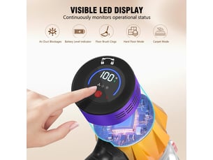 Aspirateur balai rechargeable BLOSSOM -