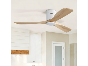 Brasseur d'air RAUMIO -