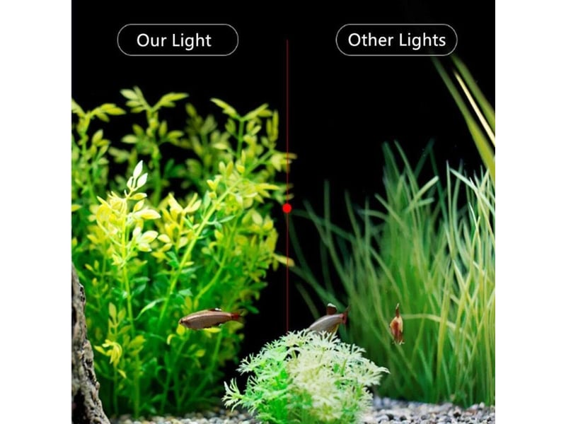  Lumiere aquarium lampe led eclairage blanc et bleu nano à clip pour poisson plantes 23-50 cm  - Conforama C