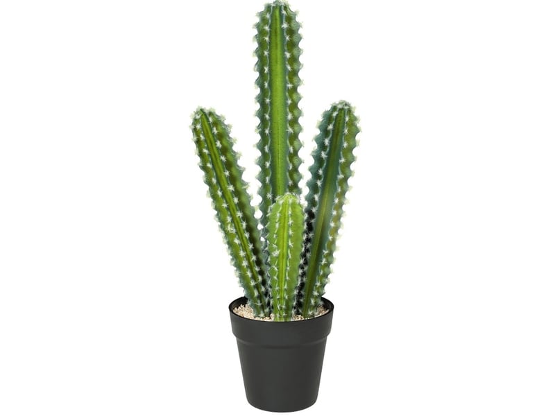 Plante artificielle cactus 53 cm – vert – en pot décoratif, sans arrosage ni taille, pour intérieur - Conforama A