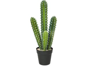 Plante artificielle cactus 53 cm – vert – en pot décoratif, sans arrosage ni taille, pour intérieur