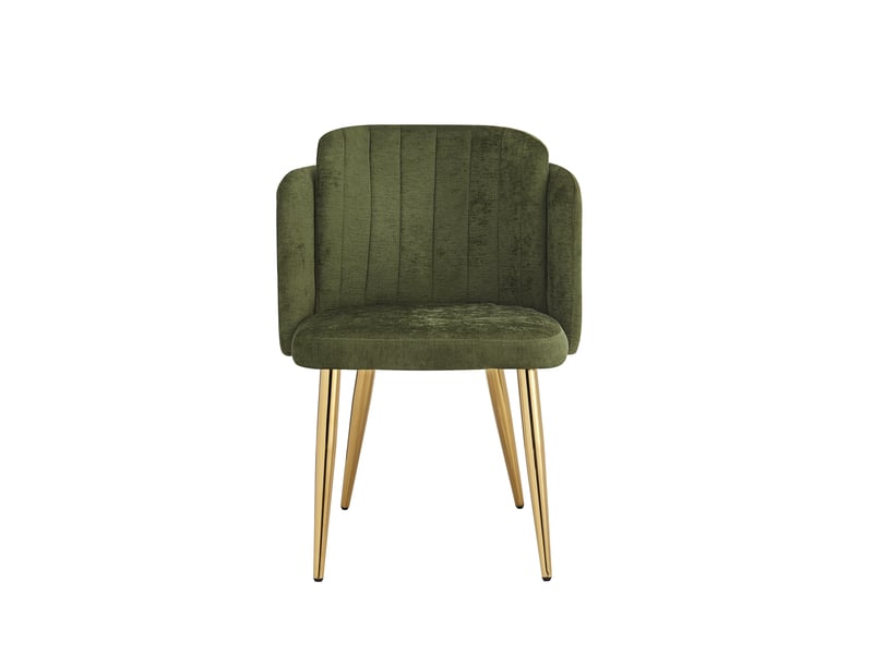  Lot de 2 chaises de salle à manger rembourrées, dossier incurvé, pieds réglables, structure dorée, charge 125 kg, coloris vert Fay Lum - Conforama D