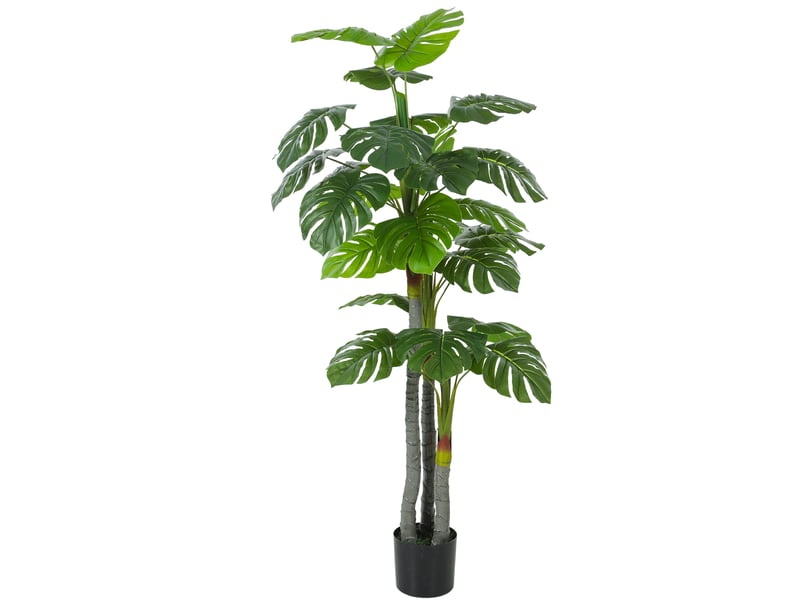  Arbre artificiel plante artificielle monstera h.1,5 m tronc branches lichen feuilles de tortue grand réalisme pot inclus  - Conforama B