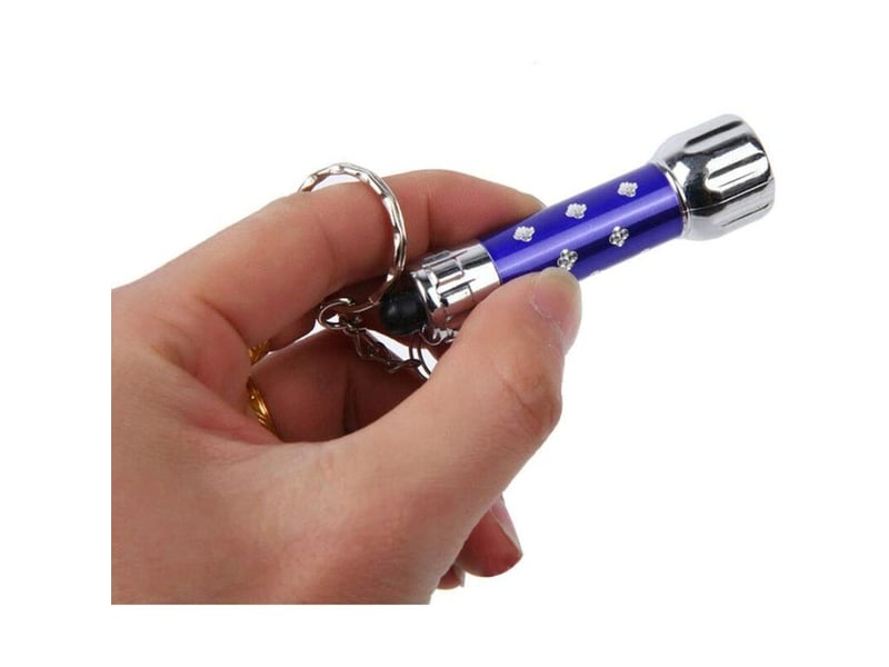 8 pièces led mini torche, lampes de poche keychain led keychain pour camping enfants party favors, lampe de voyage portable camping,pêche et autres ac - Conforama D