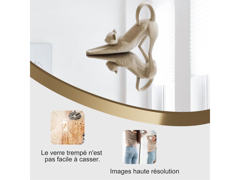  Miroir pleine longueur arqué 164 x 54 cm miroir mural salon avec cadre en aluminium, verre trempé  - Conforama W