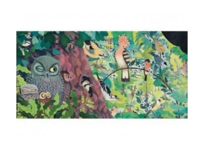  Puzzles gallery owls and birds 1000 pieces DJ07644 - Conforama A