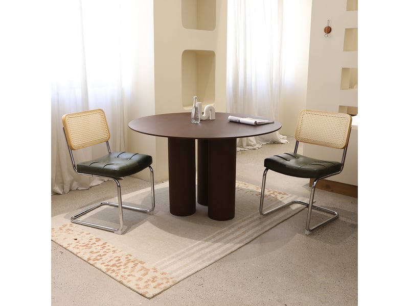 Lot de 4 chaises de salle à manger cantilever 53x46,4x84,6 cm, dossier en cannage rotin, assise rembourrée en similicuir, piètement chromé, vert  - Conforama E
