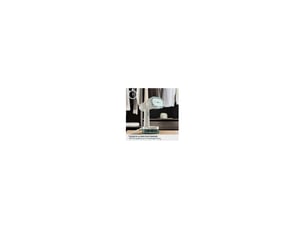 Vapeur verticale dt9322c0 beige 20 gmin 1420 w semelle ceramique