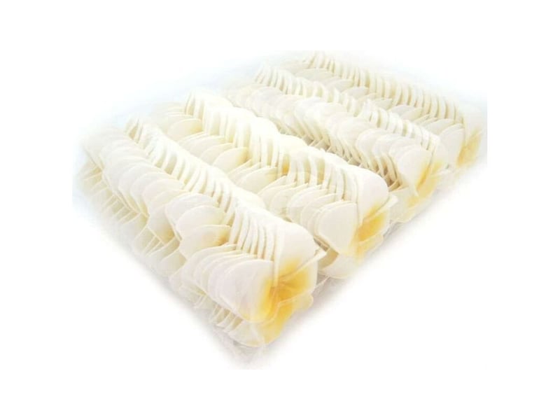  Lot de 100 pétales de frangipanier artificiels hawaïens en mousse blanche pour chapeau et cheveux-aquaforge  - Conforama D