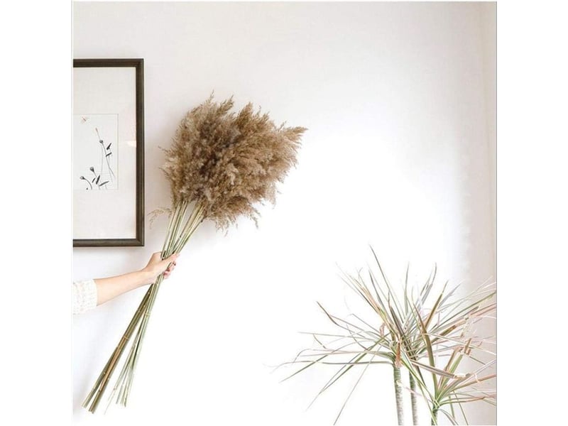  Ahlsen herbe de la pampa, 20 pièces, 60 cm, séchée naturellement, mariage, bouquet tendance, fleurs artificielles, pour décoration intérieur, vases intérieur  - Conforama E