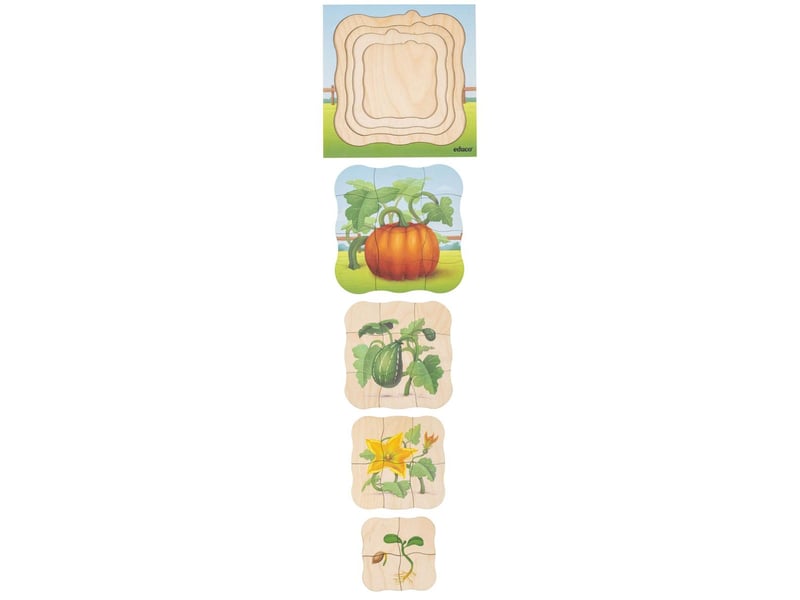  Educo à la ferme - la citrouille pousse  31 pièces de puzzle 8719924063306 - Conforama B
