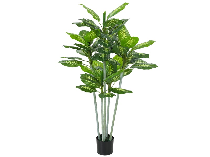 Plante artificielle calathea hauteur 150 cm pot ciment 53 feuilles - intérieur  - Conforama B