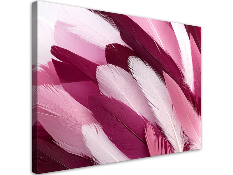 Tableaux, plumes roses et blanches 30x20 1334478933 - Conforama A