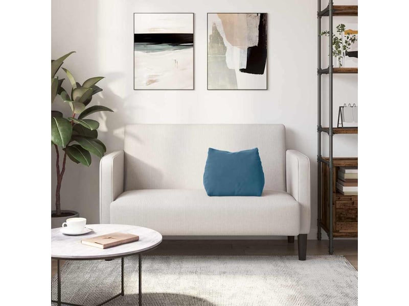  Coussin de dos, coussin de dossier bleu 45 x 20 x 35 cm tissu en velours côtelé cf54524  - Conforama D