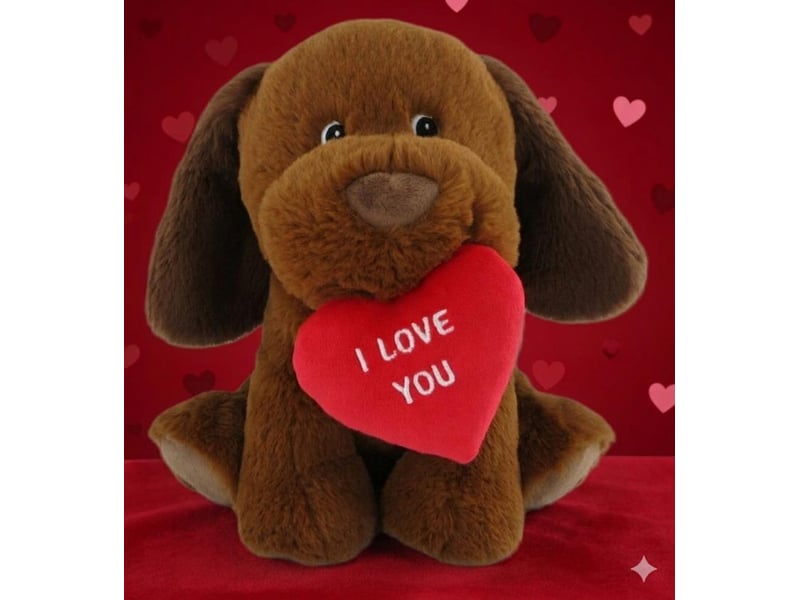  Peluche chien avec coeur - 35 cm  - Conforama B