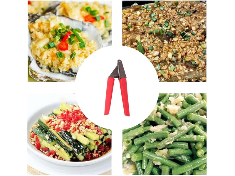  Presse ail,concasseur de gingembre avec bonne prise en main - ustensile de cuisine manuel pour presse-gingembre, conçu pour les chefs, le hachage  - Conforama D