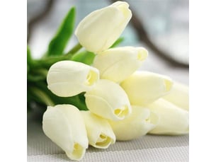 Tulipes artificielles en plastique, fleurs artificielles, décoration, 20 pièces-online store