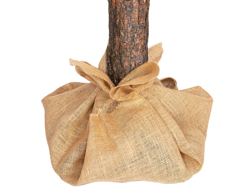  Sapin de noël artificiel springos® sur tronc naturel, pin, 180 cm  - Conforama E