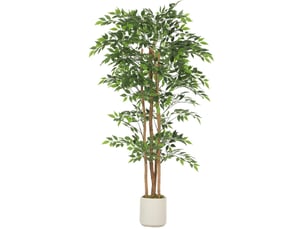 Plante artificielle banyan à feuillage réglable avec pot blanc et tronc en bois vert 75 × 75 × 180 cm