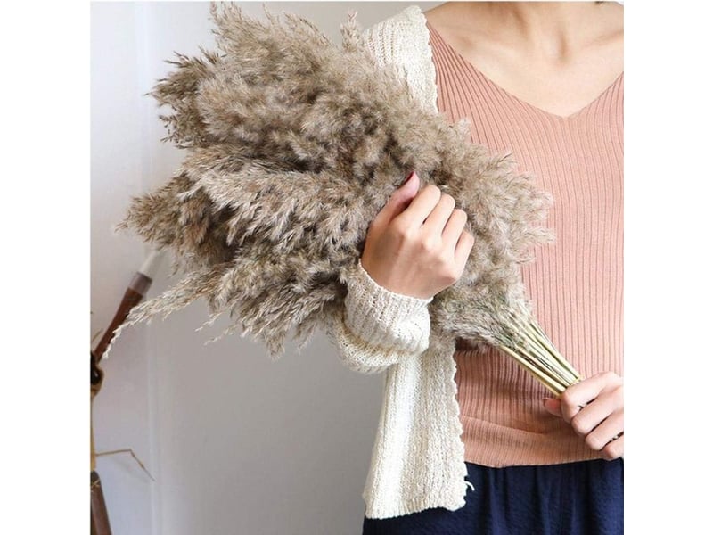  Ahlsen herbe de la pampa, 20 pièces, 60 cm, séchée naturellement, mariage, bouquet tendance, fleurs artificielles, pour décoration intérieur, vases intérieur  - Conforama D