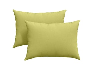 Lot de 2 coussins de canapé, coussins décoratifs tissu vert clair 70 x 50 cm cf58979
