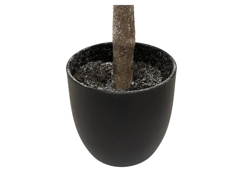  Arbuste blc pot h120  - Conforama C