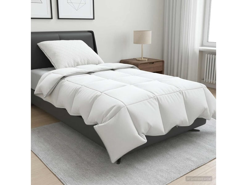  Ensemble de couette 90 % en duvet d’oie fulda 2 pcs - duvet 135 x 200 cm  - Conforama B