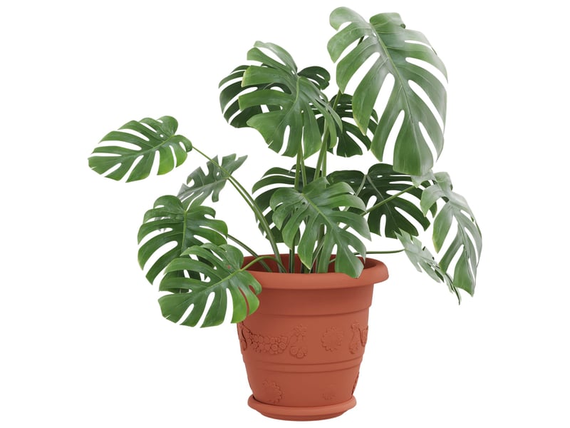  Jardinière - pots de plantes 6 pcs rouge brique ø 22 x 18 cm plastique  - Conforama C