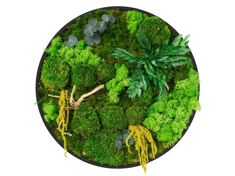  Ecd germany tableau végétal mural stabilisé, ø 40 cm, mélange de mousses avec eucalyptus, fougères et bois naturel, effet 3d, sans entretien, cadre mdf rond, décoration d'intérieur, style jungle ECD Germany GmbH - Conforama A