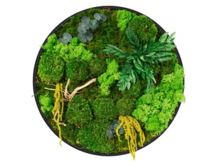 Ecd germany tableau végétal mural stabilisé, ø 40 cm, mélange de mousses avec eucalyptus, fougères et bois naturel, effet 3d, sans entretien, cadre mdf rond, décoration d'intérieur, style jungle