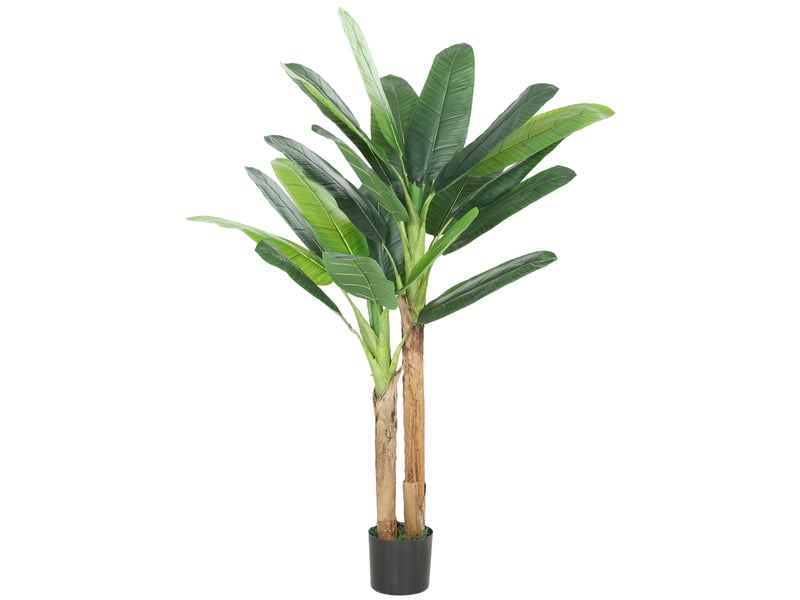 Bananier artificiel de 150 cm, plante décorative avec pot et 2 troncs, vert, idéal pour la maison, le bureau ou le salon. - Conforama B