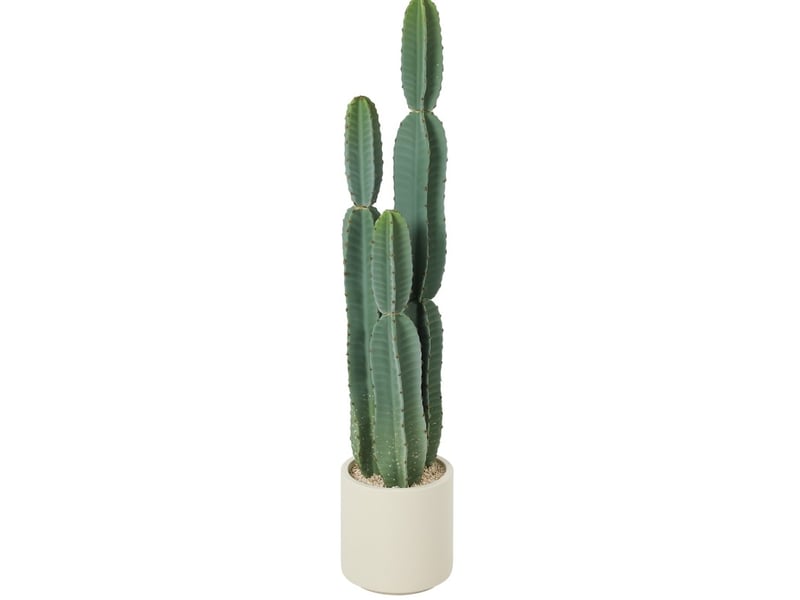  Plante artificielle cactus 111 cm – vert – en pot décoratif, touche naturelle pour salon, bureau et entrée  - Conforama A