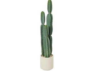 Plante artificielle cactus 111 cm – vert – en pot décoratif, touche naturelle pour salon, bureau et entrée