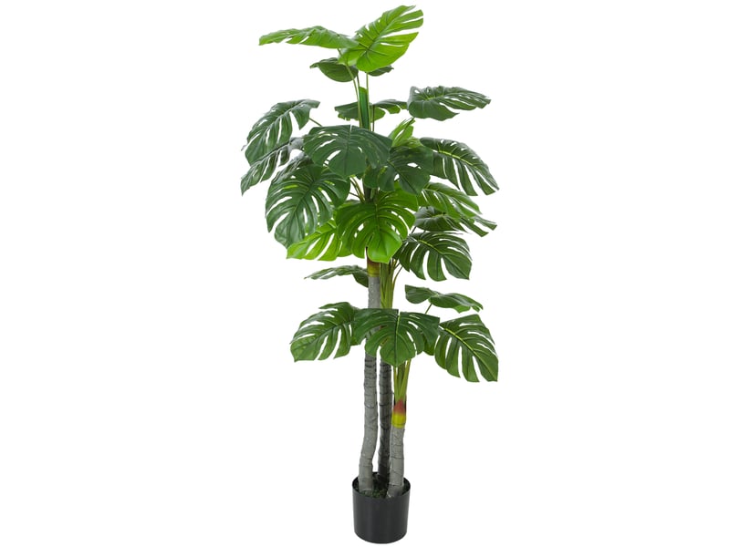  Arbre artificiel plante artificielle monstera h.1,5 m tronc branches lichen feuilles de tortue grand réalisme pot inclus  - Conforama A