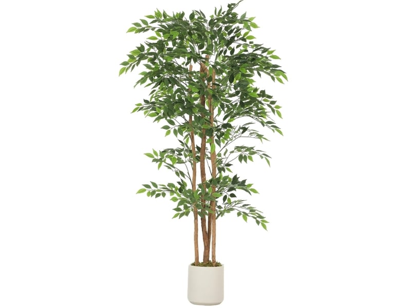  Arbre artificiel banyan avec tronc en bois et pot 75 x 75 x 180 cm evryae  - Conforama A