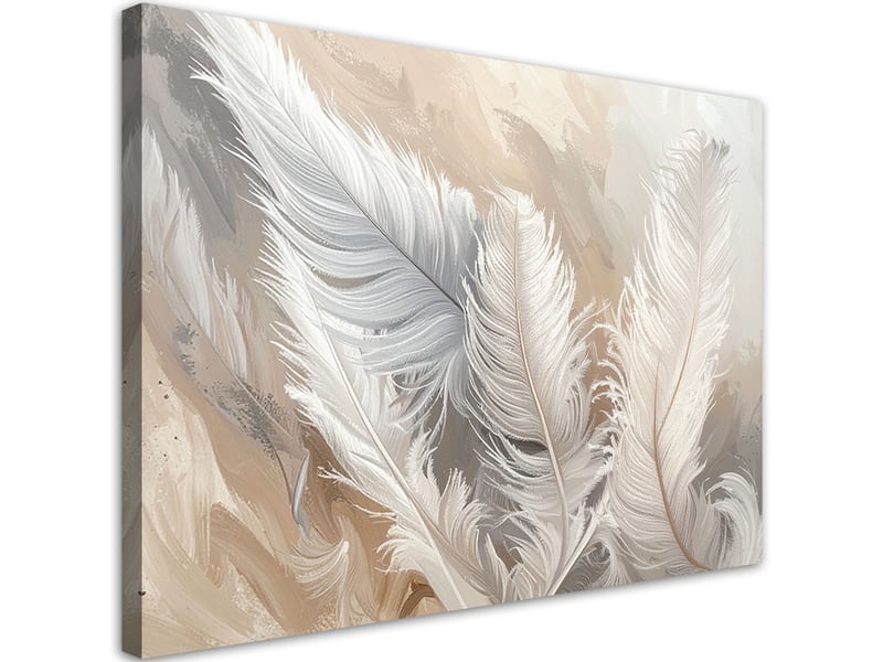 Tableaux, plumes blanches et délicates 45x30 1334480277 - Conforama A
