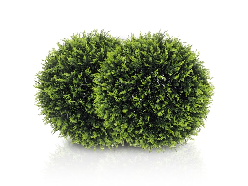  Lot de 2 plantes sphériques artificielles à feuilles de cèdre pour la maison et le jardin, ø 45 cm, vertes  - Conforama A