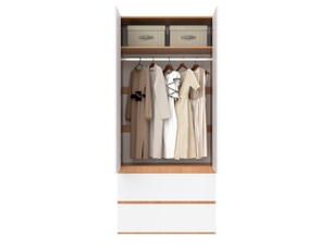 Armoire 2 portes 90x50x200 cm avec 2 tiroirs blanc et effet chêne
