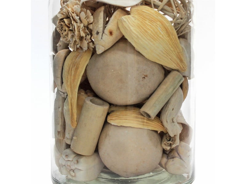  Bouteille décorative flora avec fleurs séchées naturelles  - Conforama C