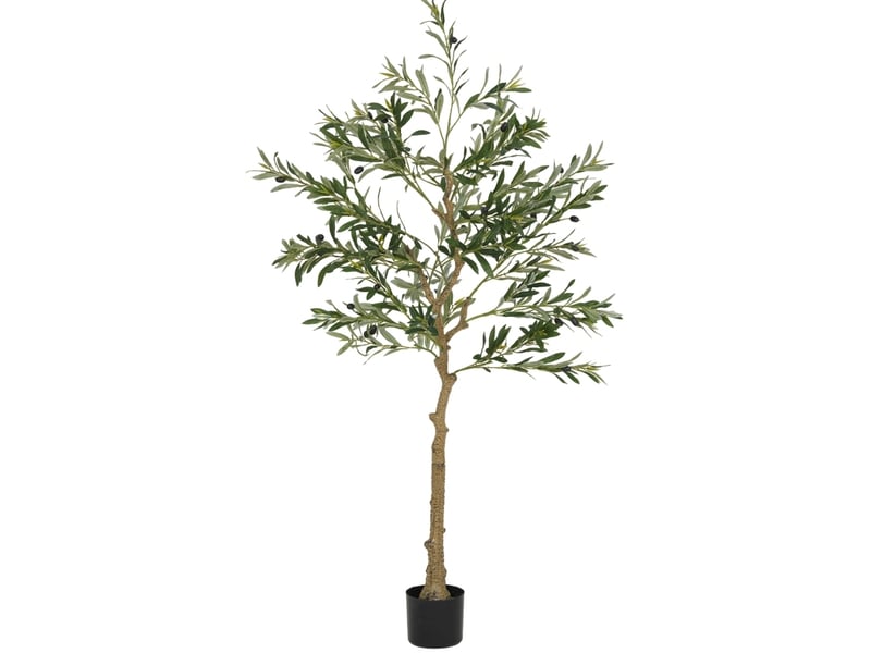  Arbre artificiel d'intérieur olivier avec branches façonnables et pot stable sans entretien en plastique vert 150 cm  - Conforama A