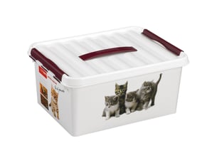 Boite q-line motif animaux 15 litres
