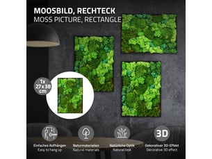 Ecd germany tableau végétal mural, mélange de mousses stabilisées, rectangulaire, 38 x 27 cm, vert, décoration d'intérieur véritable effet 3d, sans arrosage ni entretien, cadre en bois, pièce unique