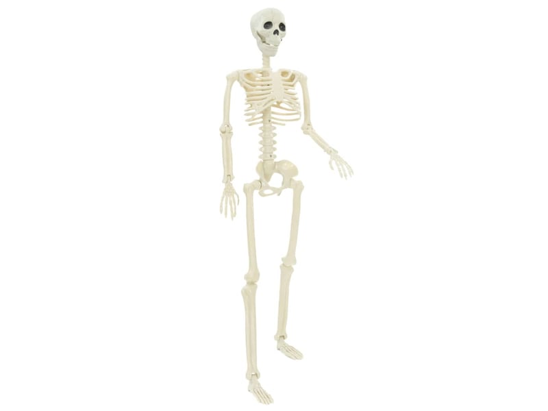 Squelette d'halloween 2 pc blanc 85 cm pvc cf61974 - Conforama D