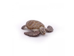 56005 tortue caouanne figurine