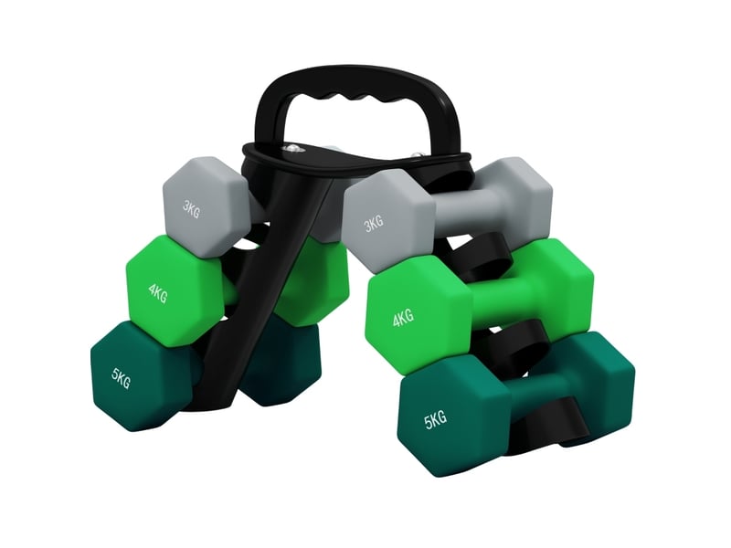 Set de 6 haltères 42x10x30 cm hexagonaux métal multicolore  - Conforama A
